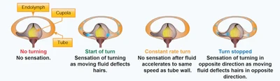 Instrument Flying Handbook, Angular Acceleration